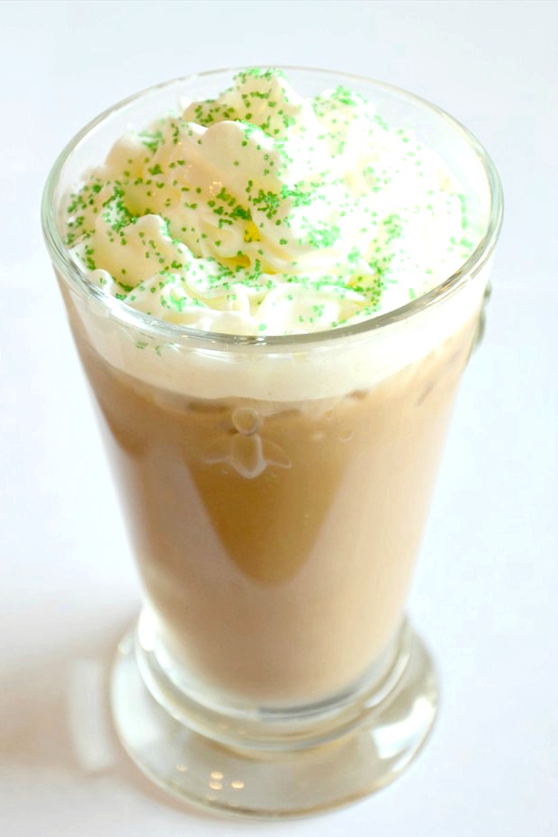 Low Calorie Mocha Mint Iced Coffee Recipe - Brie Brie Blooms