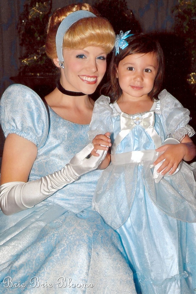 Brie Brie Blooms, Family Disneyland Vacations, Cinderella #Disneyland #Disney #Family