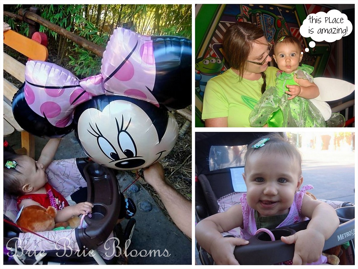 Brie Brie Blooms, Family Disneyland Vacations, #Disneyland #Disney #Family