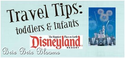 Brie Brie Blooms, Travel Tips, Disneyland with toddlers and infants, #disneyland #traveltips