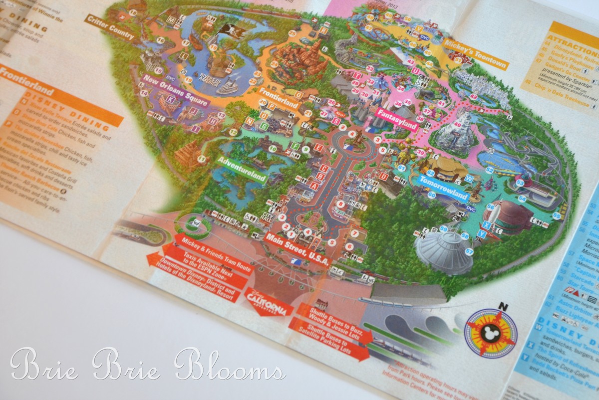 Disneyland Map Placemat (4)