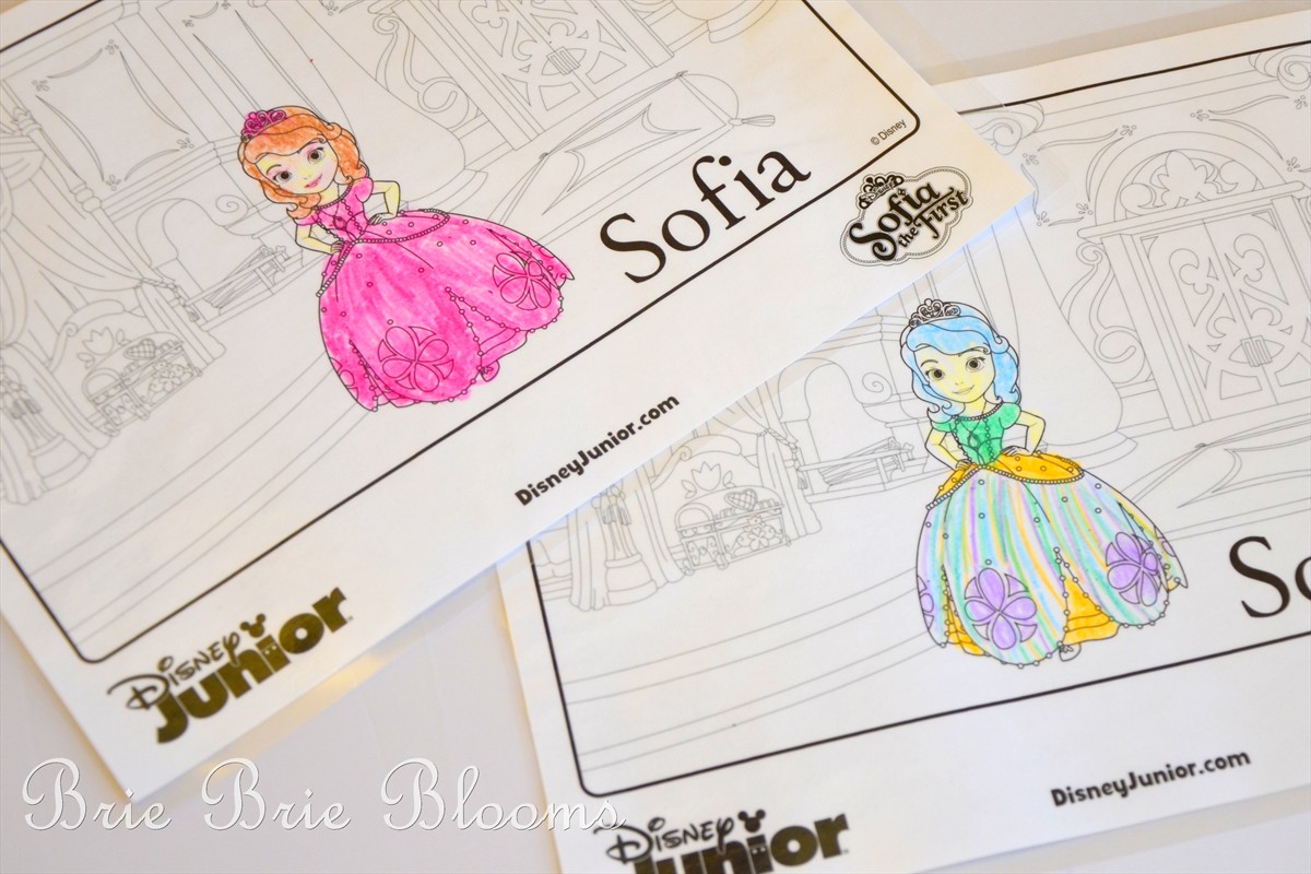 Sofia the First Coloring Makeover Activity (3)