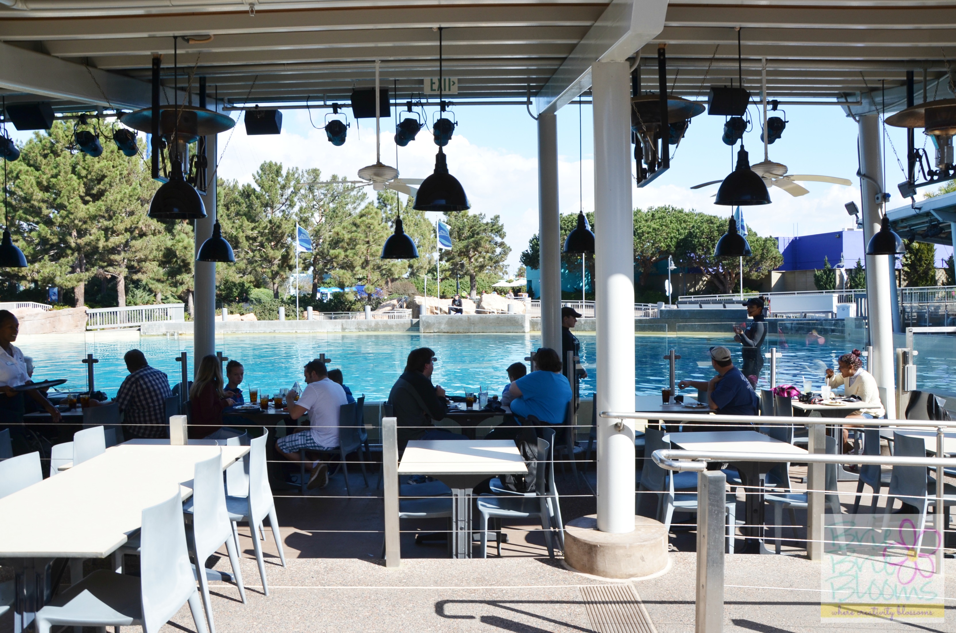 Dine with Shamu seating SeaWorld San Diego Brie Brie Blooms Dine with Shamu seating SeaWorld San Diego Brie Brie Blooms