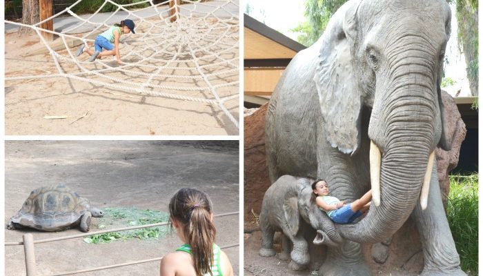 early-morning-fun-at-the-Phoenix-zoo