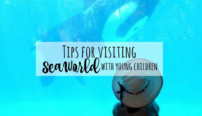 tips for visiting SeaWorld with young children feature