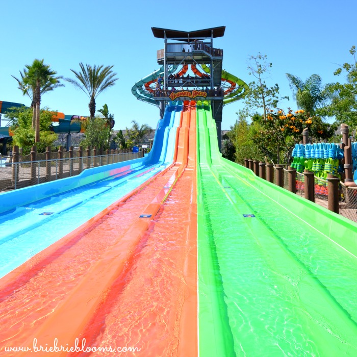 seaworld water rides