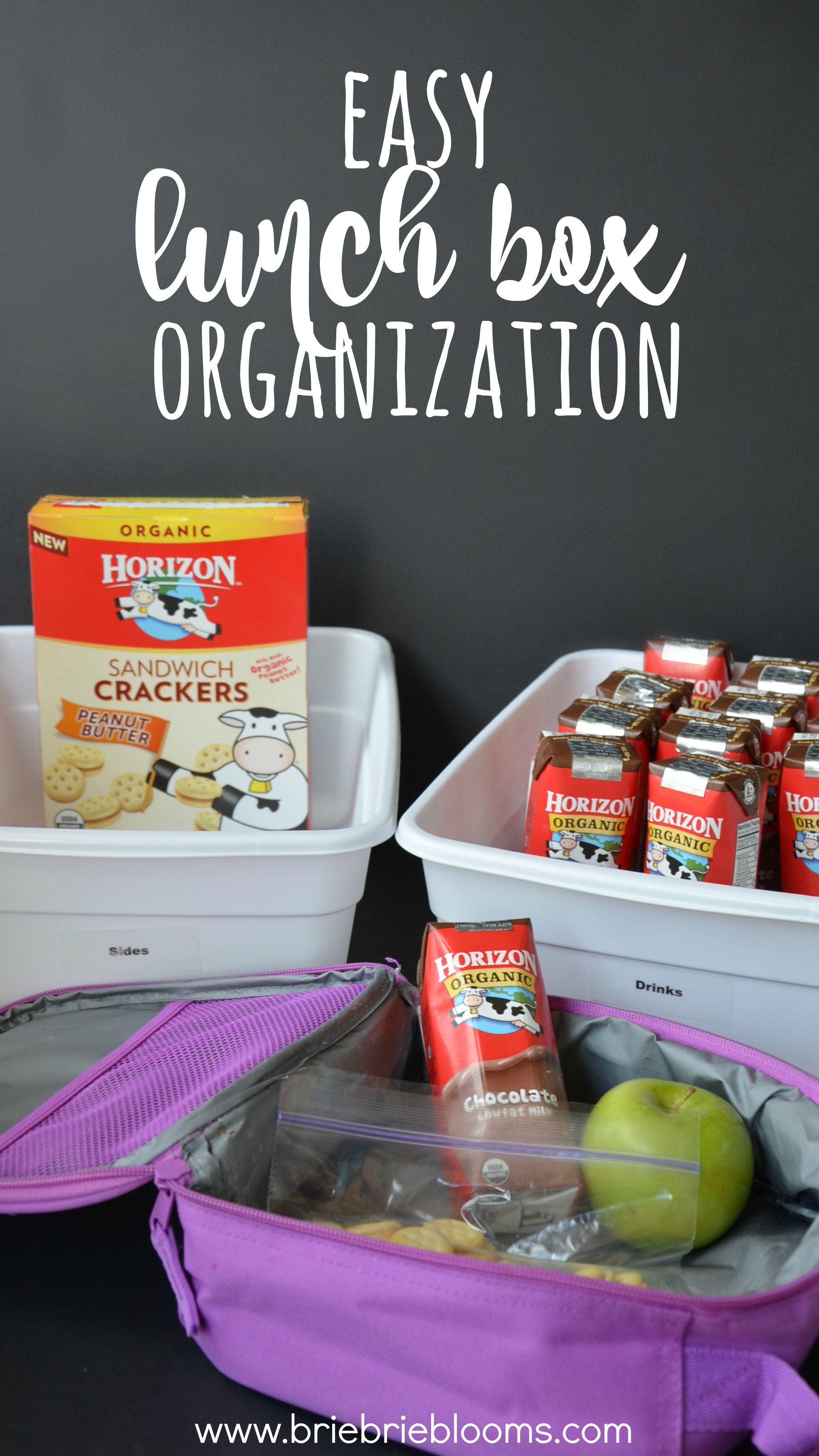 Easy Lunch Box Organization - Brie Brie Blooms