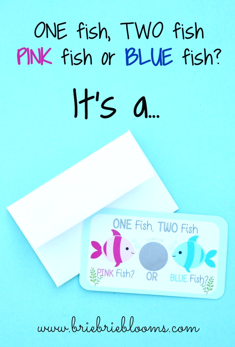 One fish two fish pink fish or blue fish?! Baby gender reveal