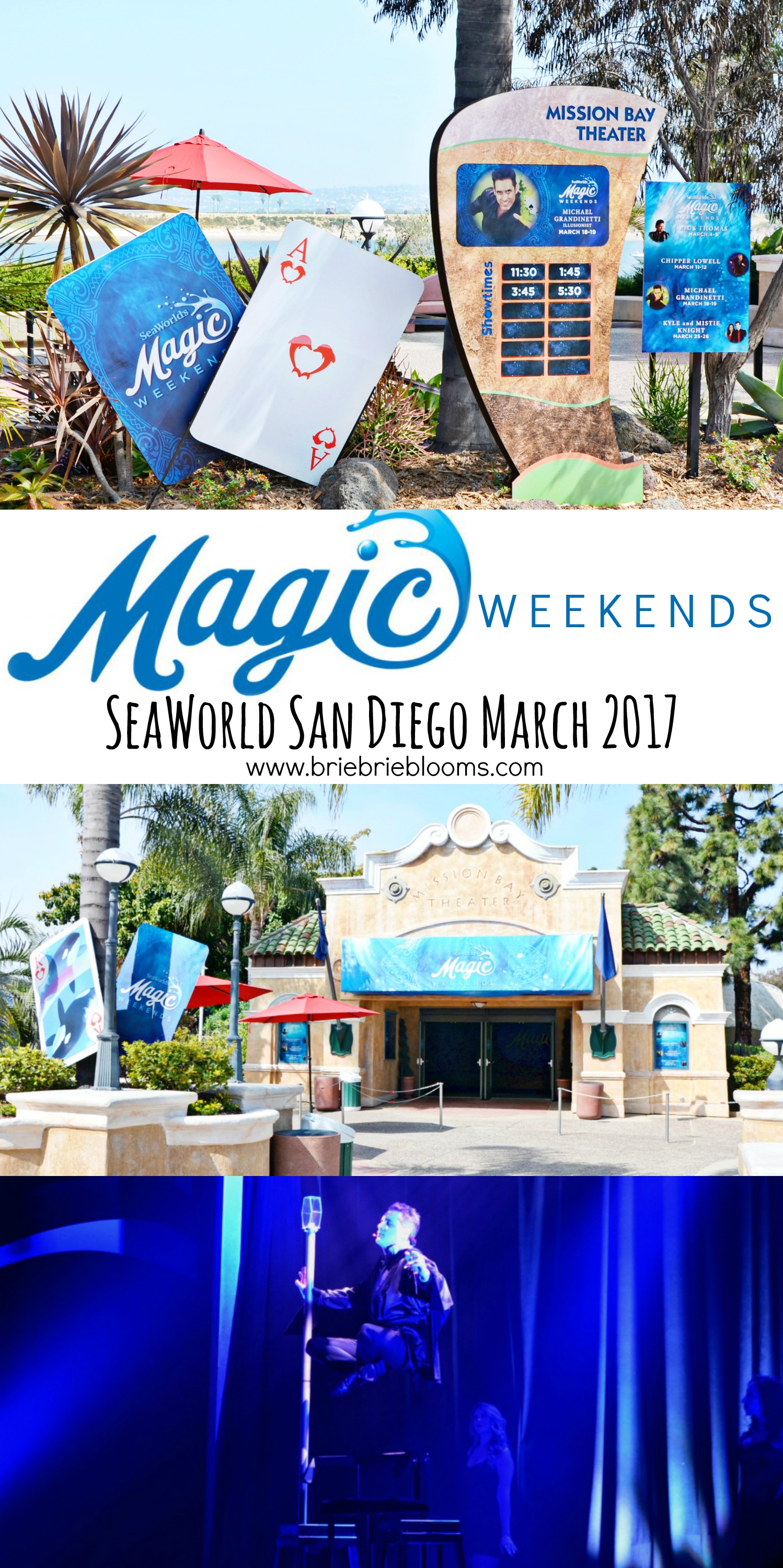 https://briebrieblooms.com/seaworlds-magic-weekends/s-magic-weekends-san-diego/