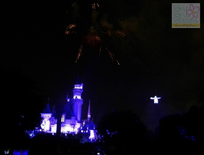 Disneyland-with-infants-fireworks