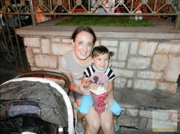 Disneyland-with-infants-seating-for-Fireworks