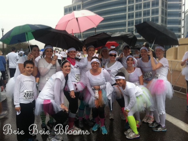 Brie Brie Blooms, The Color Run