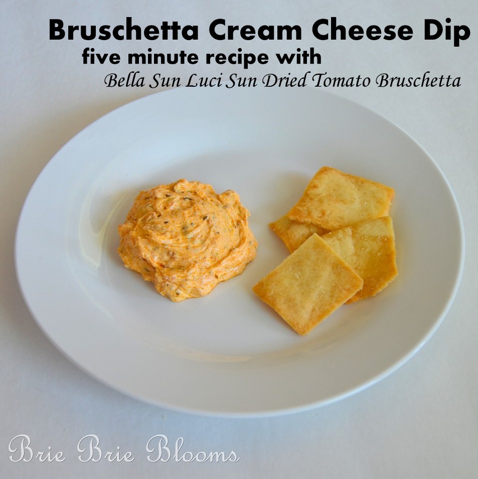 Brie Brie Blooms, Bella Sun Luci, Bruschetta Cream Cheese Dip (4)