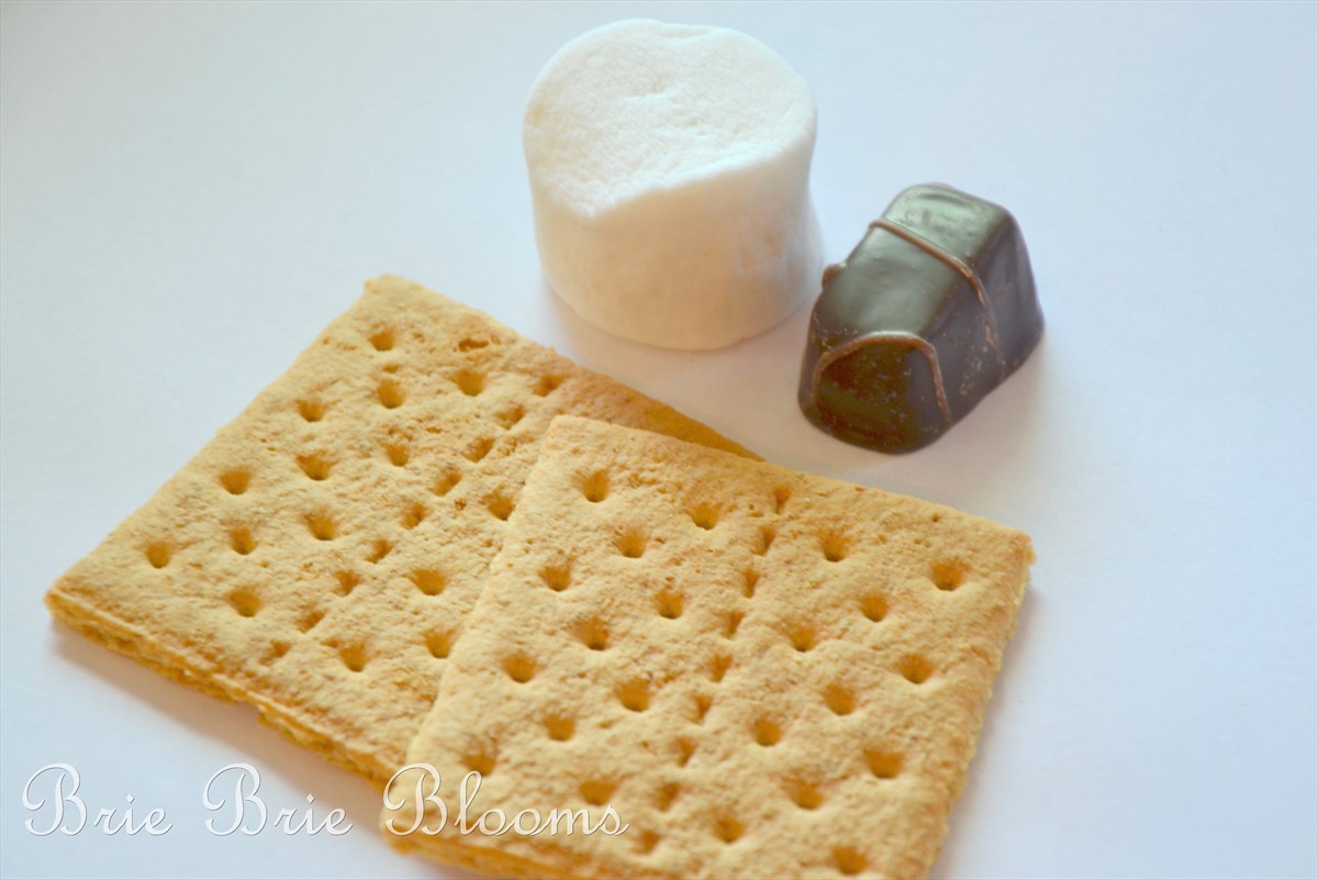 Brie Brie Blooms, Leftover Valentine's Day chocolates smores, #candy #smores (3)