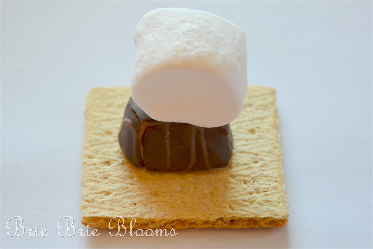 Brie Brie Blooms, Leftover Valentine's Day chocolates smores, #candy #smores (4)