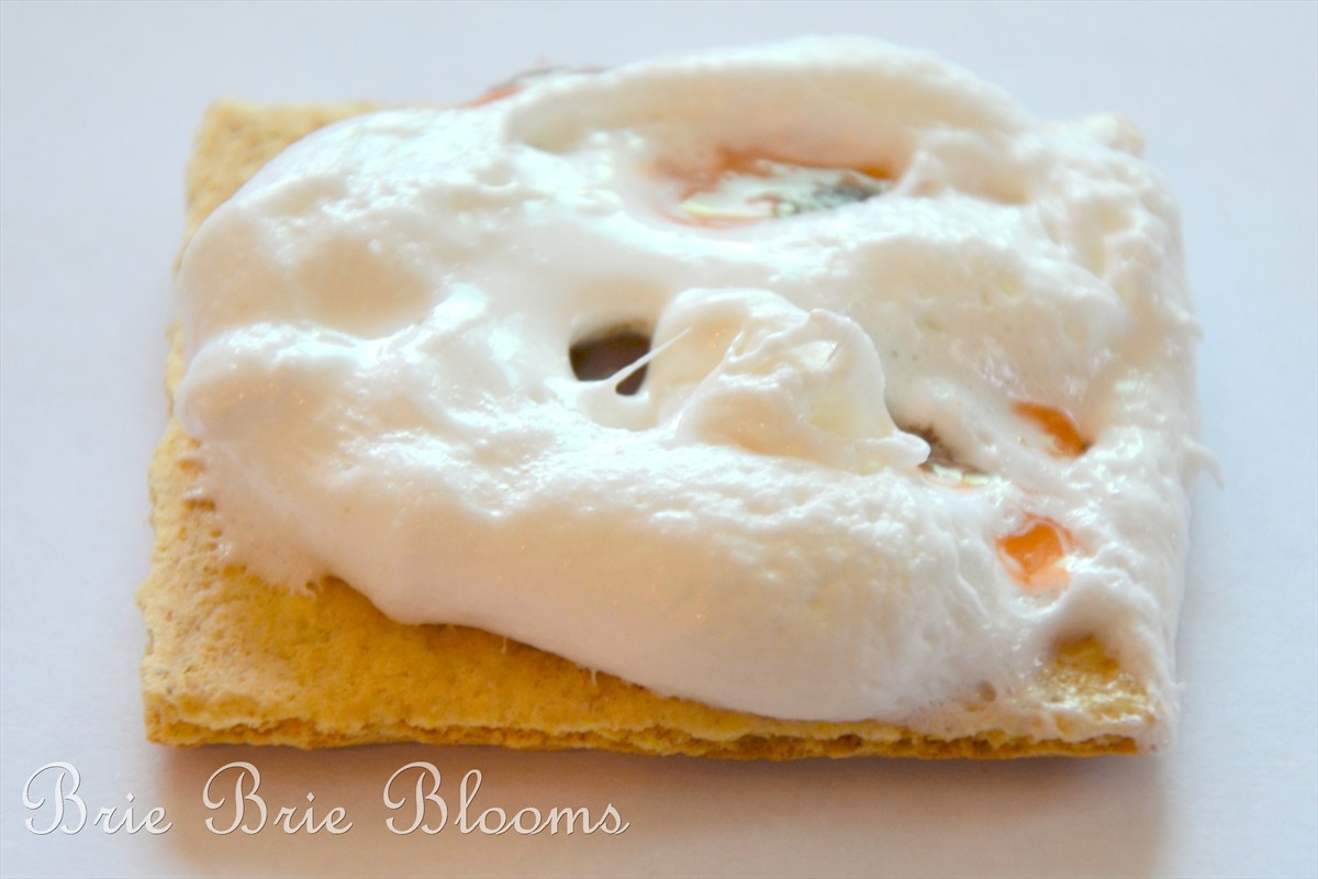 Brie Brie Blooms, Leftover Valentine's Day chocolates smores, #candy #smores (5)