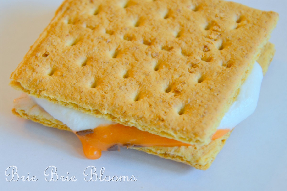 Brie Brie Blooms, Leftover Valentine's Day chocolates smores, #candy #smores (6)