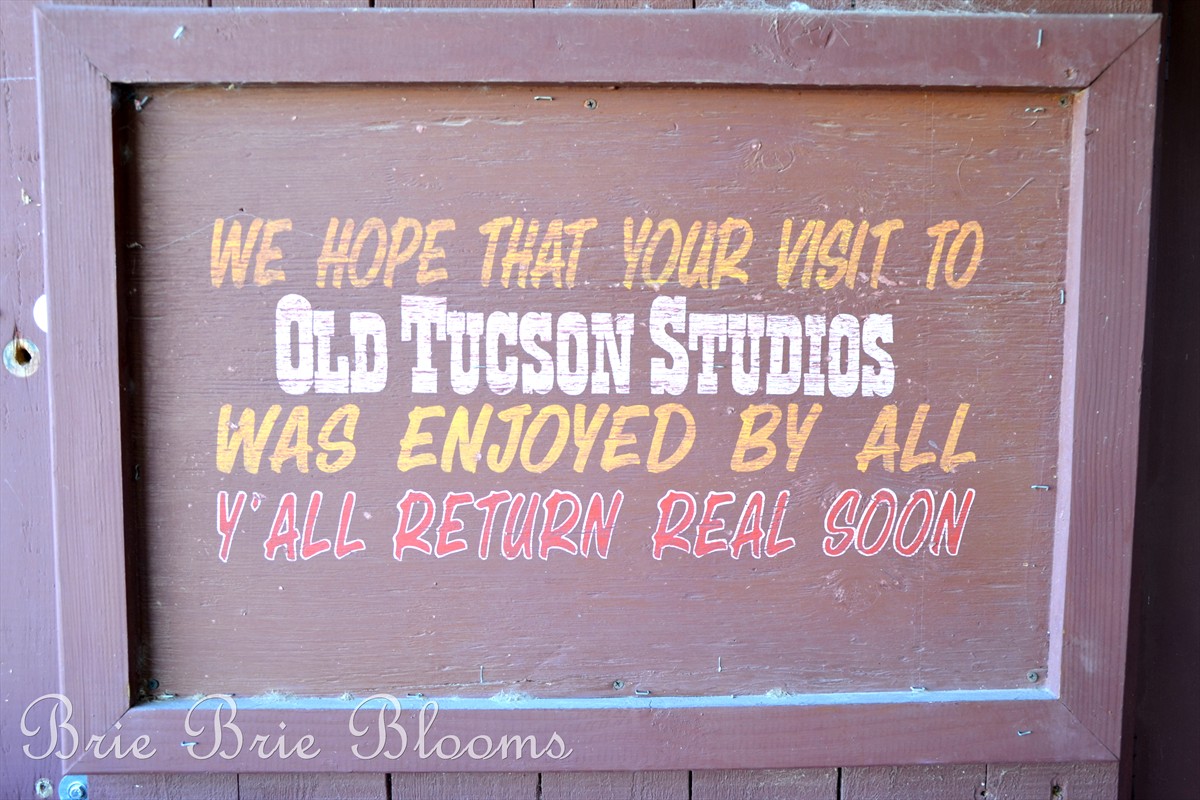 Brie Brie Blooms, Old Tucson Studios, Arizona Family Fun (12)