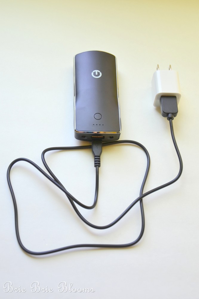 Brie Brie Blooms, New Trent iTorch External Battery Charger (4)