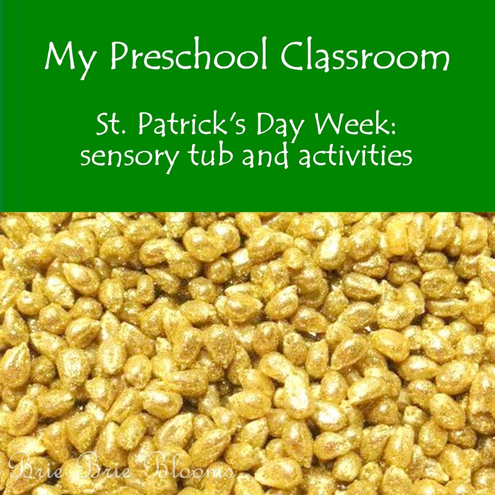 Brie Brie Blooms, St. Patrick's Day Week Classroom, #preschool #stpatricksday #classroom #sensorytub (4)