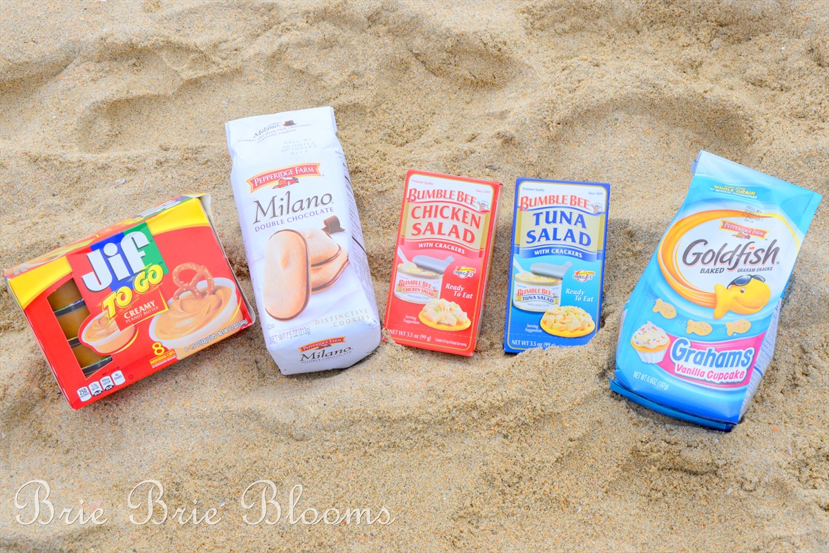 Brie Brie Blooms, Vacationing with Preschool Aged Kiddos - quick tips for a beach day, #springbreak #traveltips (6)