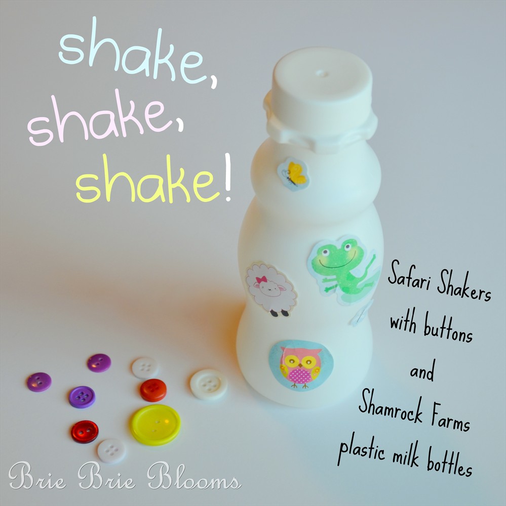Safari Shakers with Shamrock Farms Bottles (2)