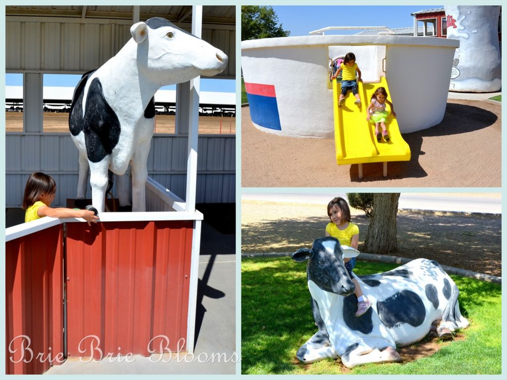 Shamrock Farms Tour {Arizona Family Fun} Brie Brie Blooms
