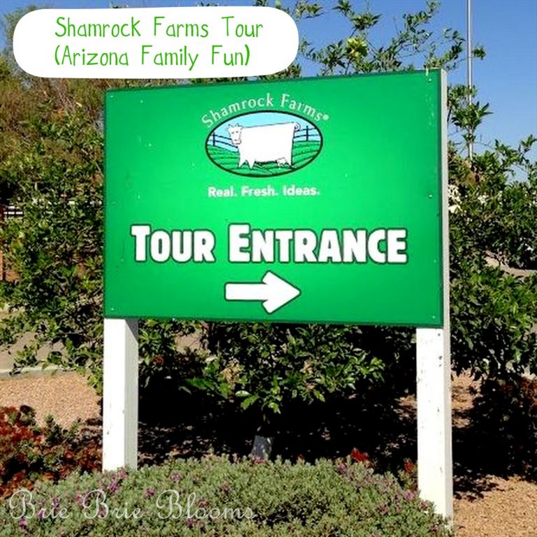 Shamrock Farms Tour {Arizona Family Fun} Brie Brie Blooms