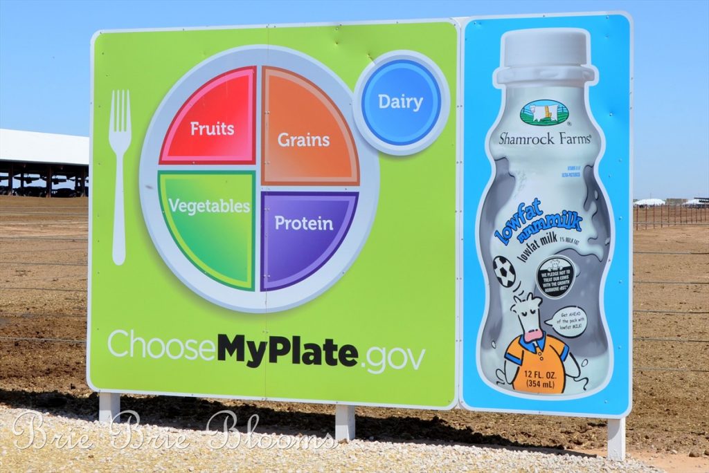 Shamrock Farms Tour {Arizona Family Fun} Brie Brie Blooms