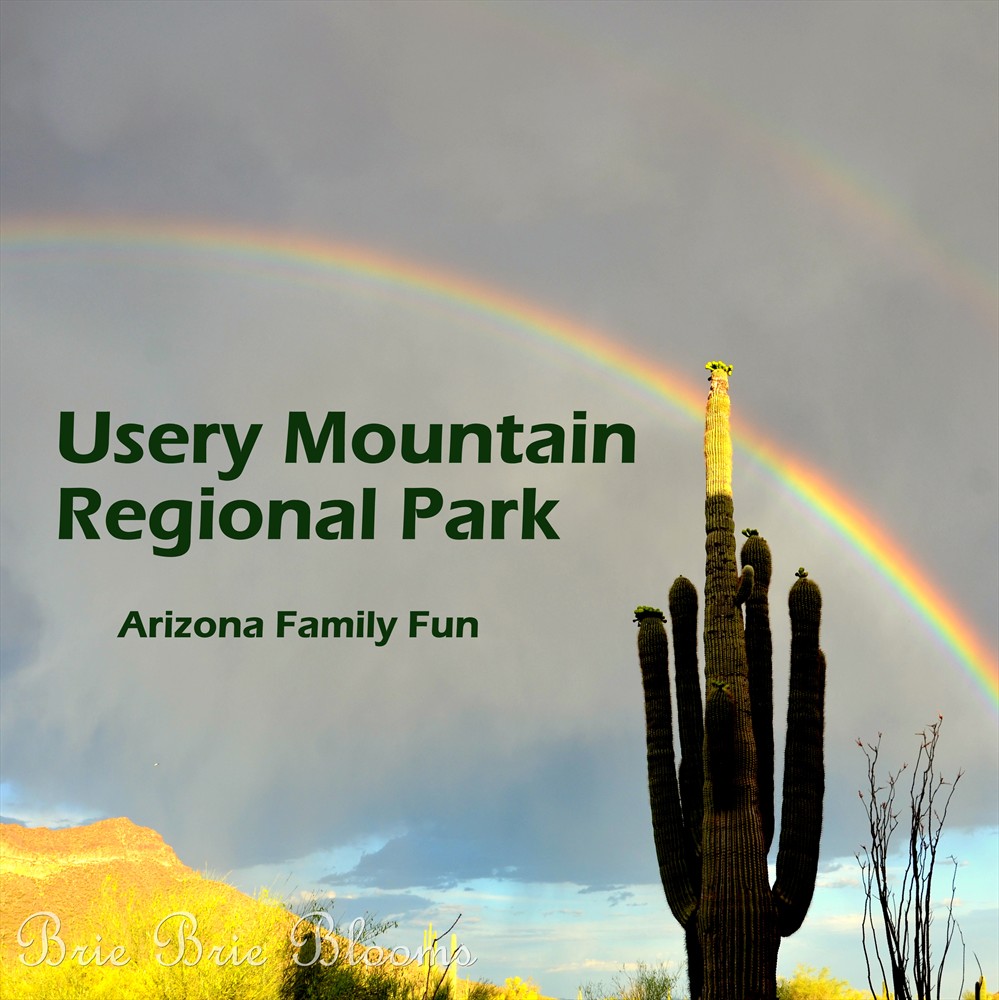 Usery Mountain Regional Park (Arizona Family Fun) (7)
