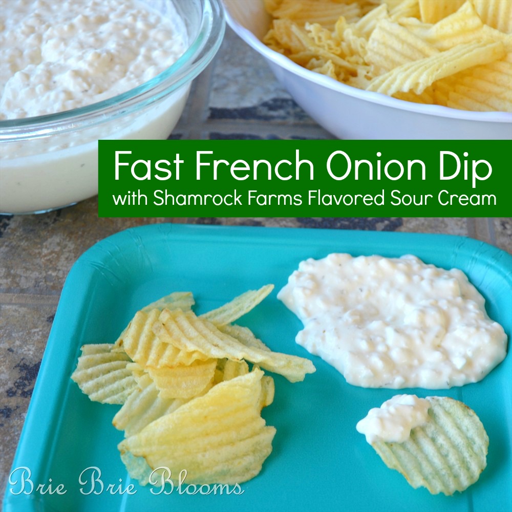 Fast French Onion Dip (5)