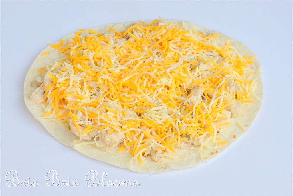 Boating Fun Chicken Quesadilla featuring Foster Farms Oven Ready