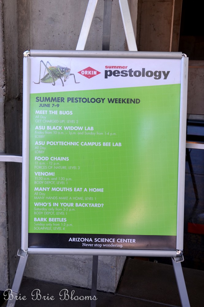 Orkin's Summer Pestology at the Arizona Science Center