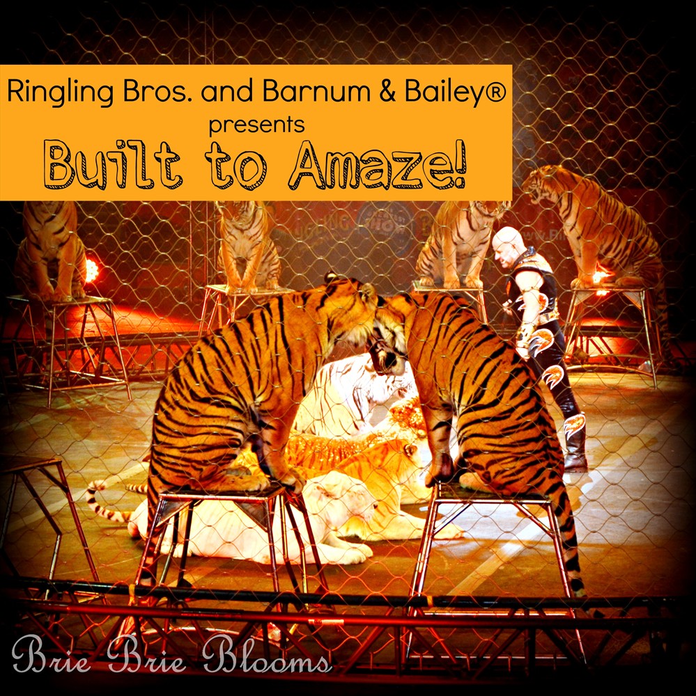 Ringling Bros. & Bailey Presents Built to Amaze, family fun circus (16)