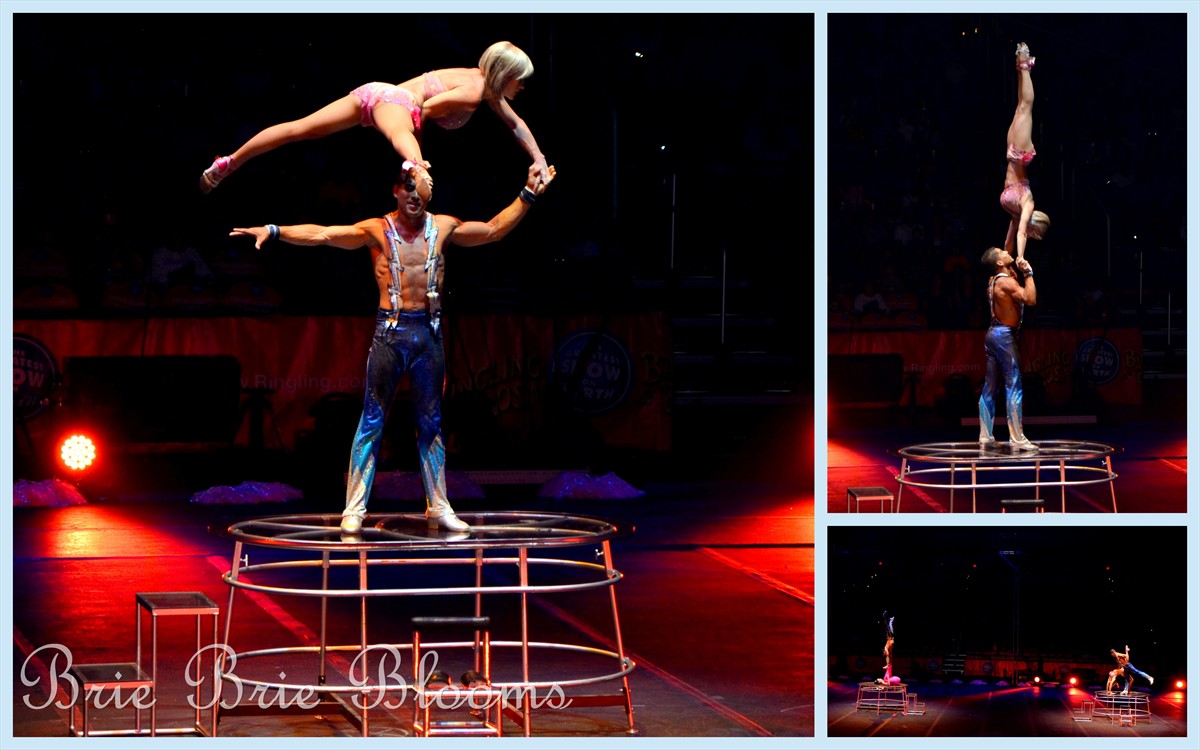 Ringling Bros. & Bailey Presents Built to Amaze, family fun circus (2)