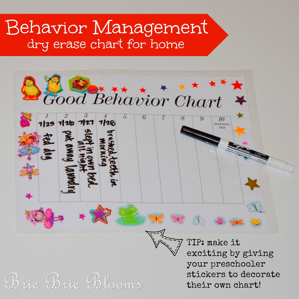 Behavior Management Dry Erase Chart for Home (4)