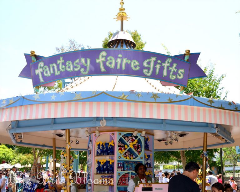 Bubbles in Disneyland Brie Brie Blooms