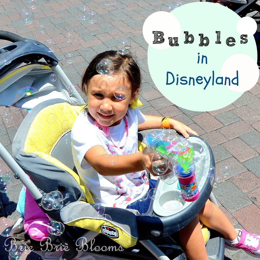 Bubbles in Disneyland