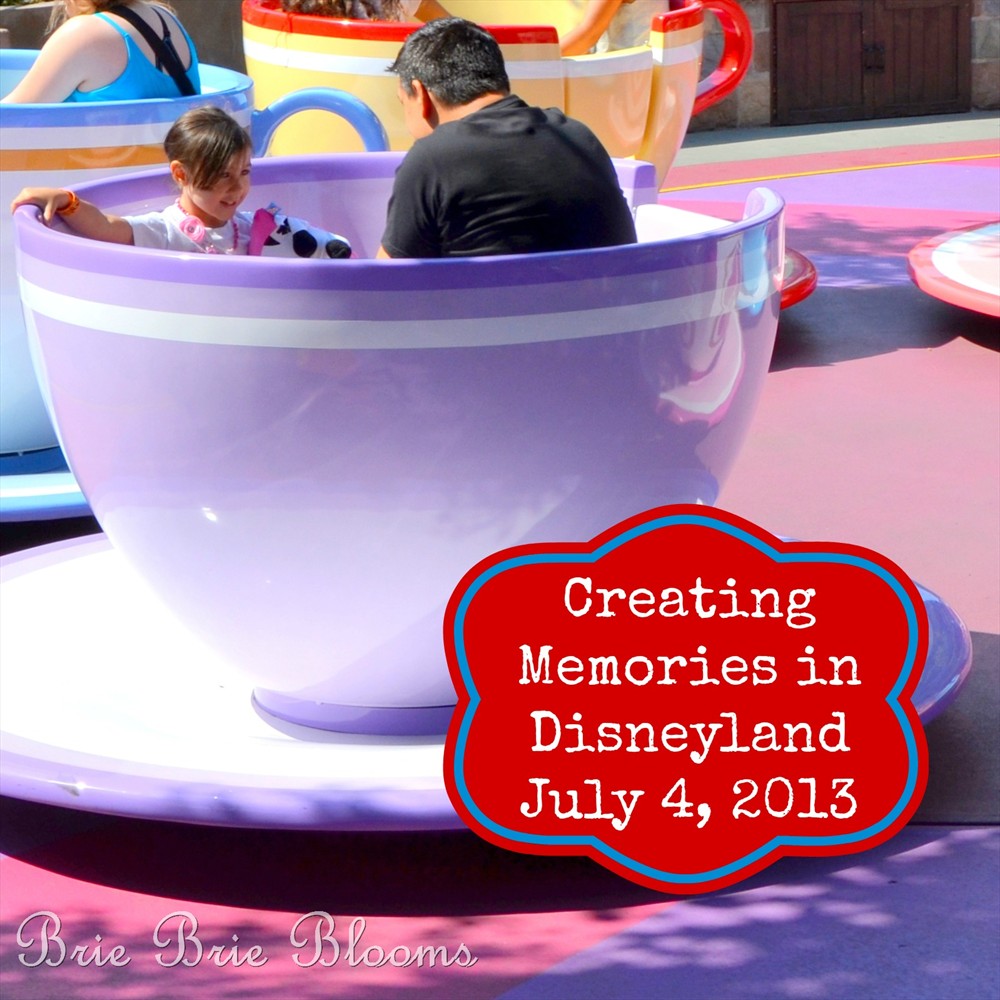 Creating Memories in Disneyland, July 4, 2013 (6)