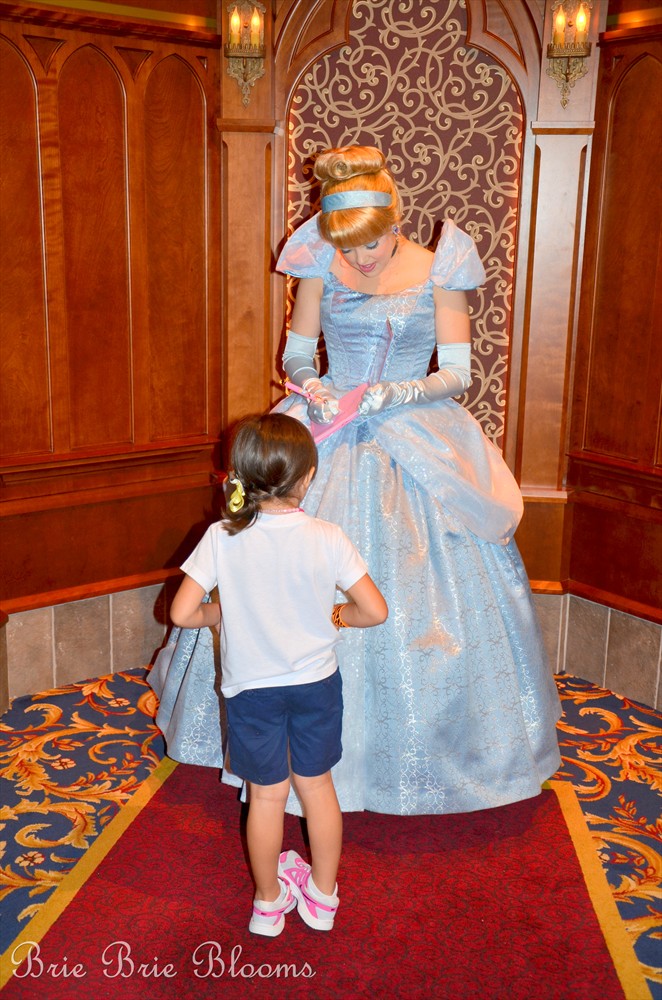 Creating Memories in Disneyland, July 4, 2013 (8)