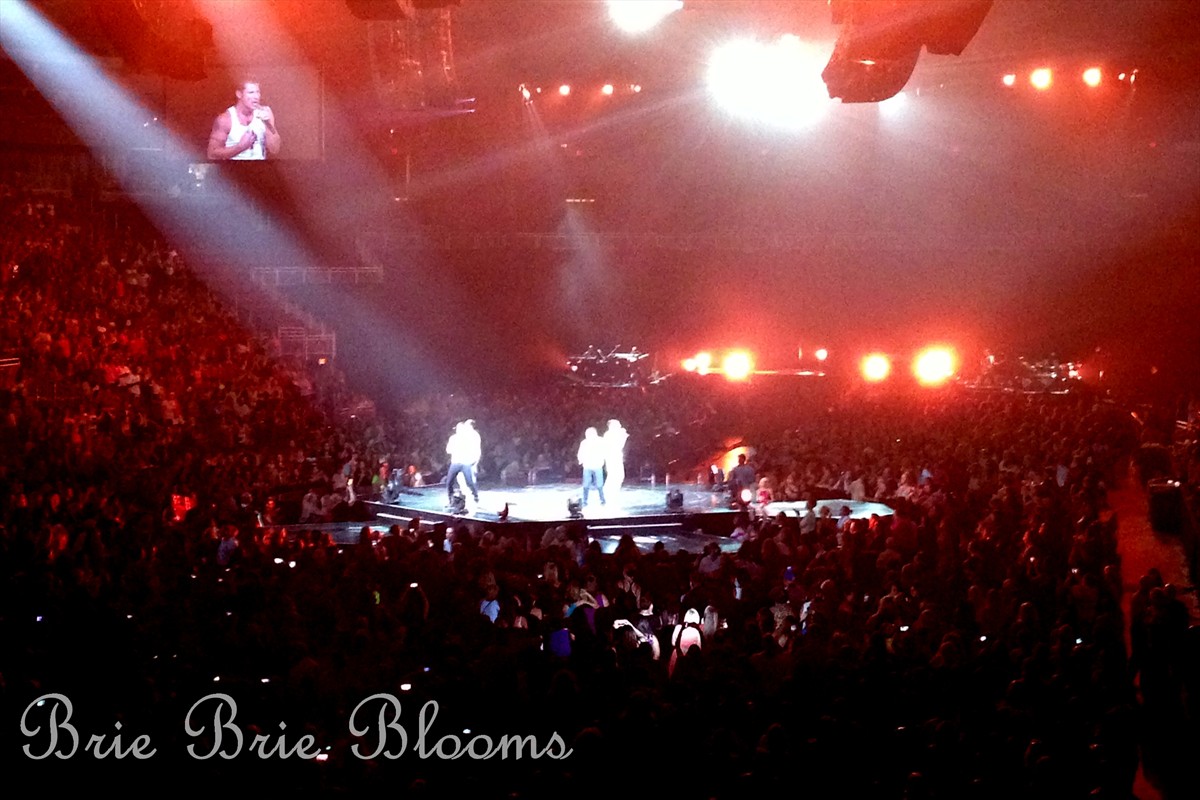 Girls Night Out with New Kids On The Block, 98 Degrees, and Boyz II Men 2013 (6)