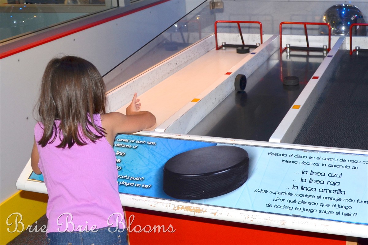 The Science of Hockey at the Discovery Science Center (5)