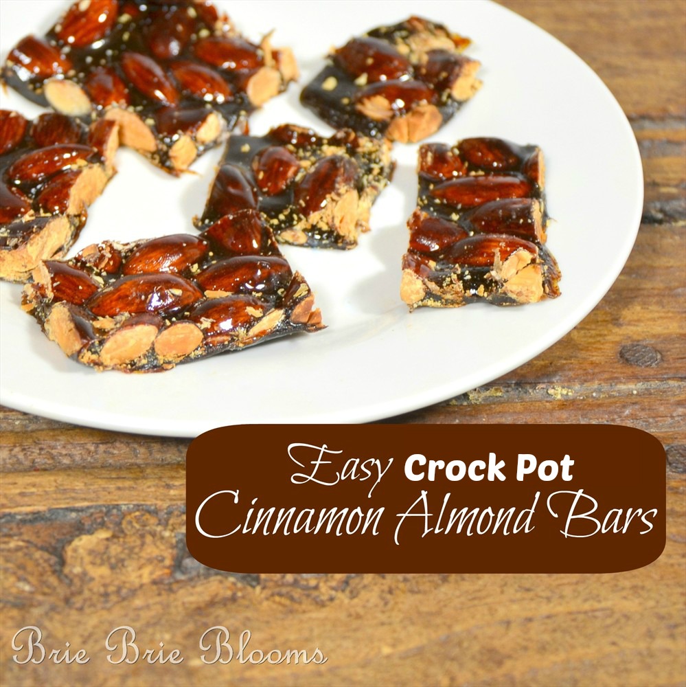 Easy-Crockpot-Cinnamon-Almond-Bars-2