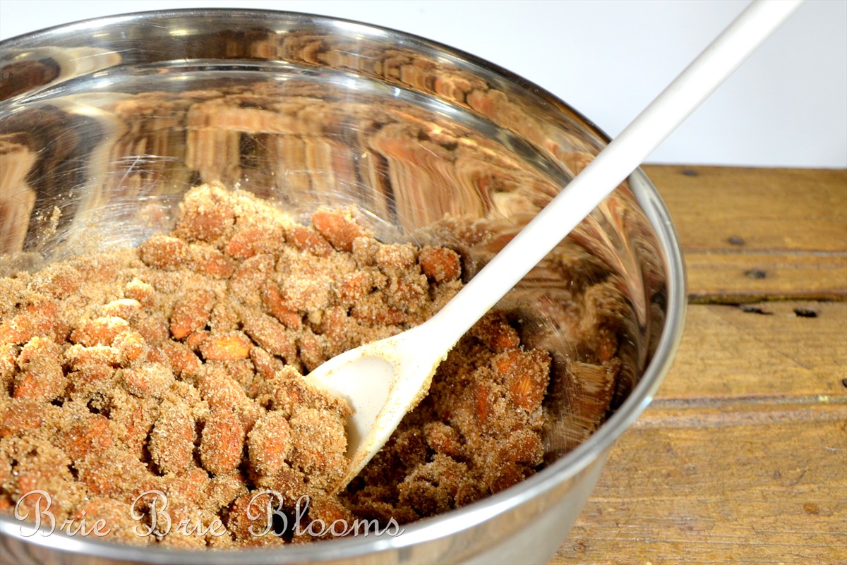 Easy Crockpot Cinnamon Almond Bars (5)
