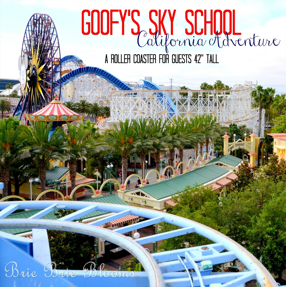 Goofy's Sky School  in California Adventure (5)