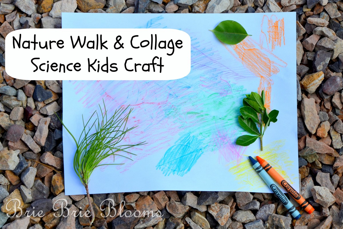 Nature Walk and Collage, Science Kids Craft (3)