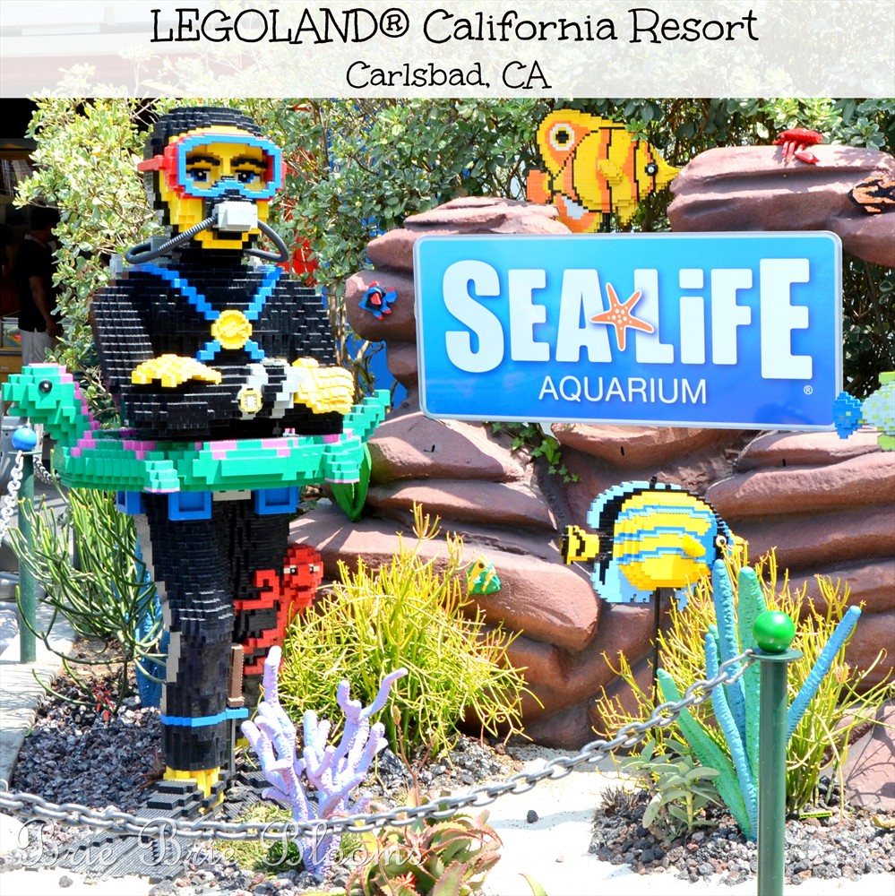 Ocean Fun at the  LEGOLAND® California Resort SEA LIFE™ Aquarium (6)