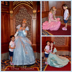 Greet the Princesses at Disneyland's Fantasy Faire - Brie Brie Blooms