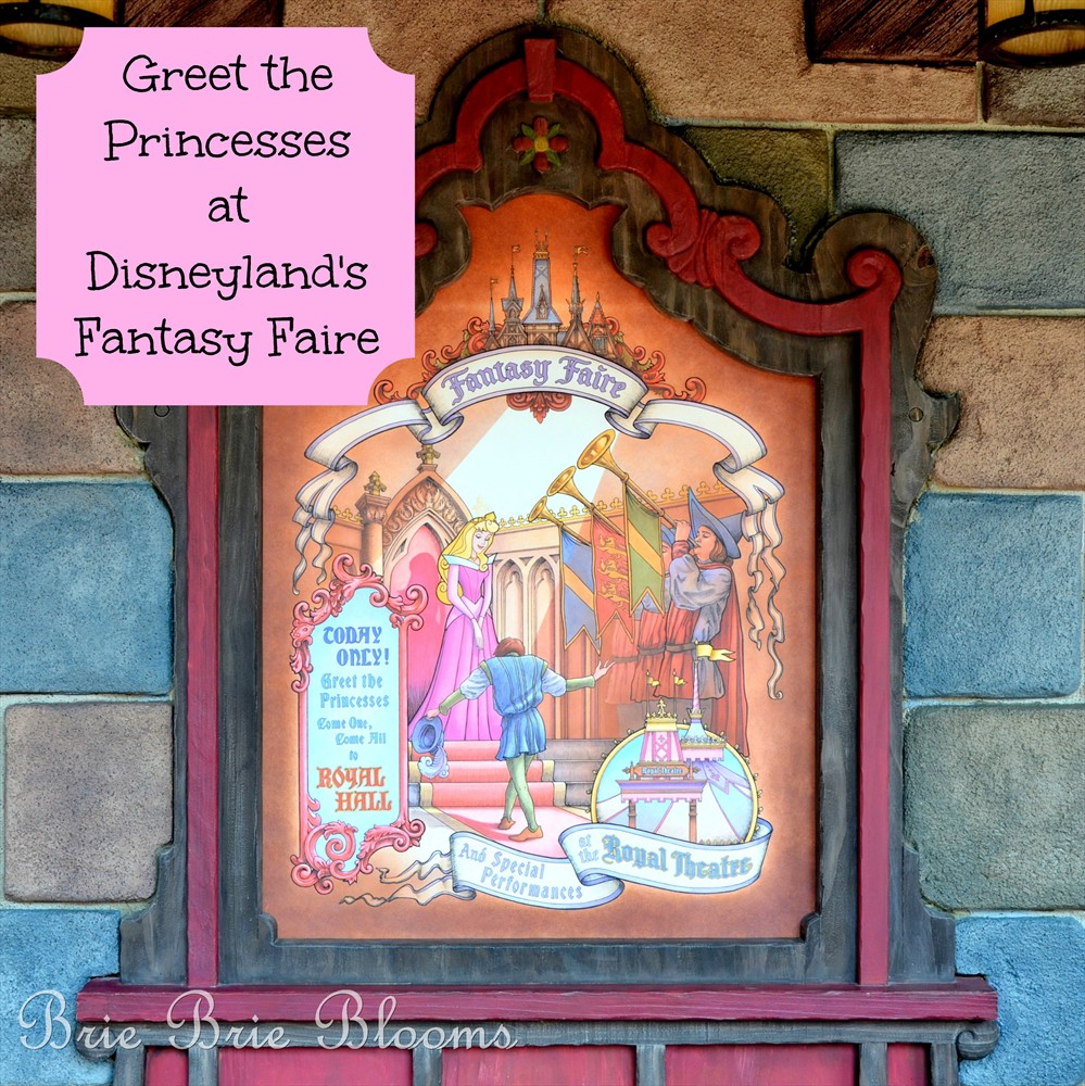 Greet the Princesses at Disneyland's Fantasy Faire (4)