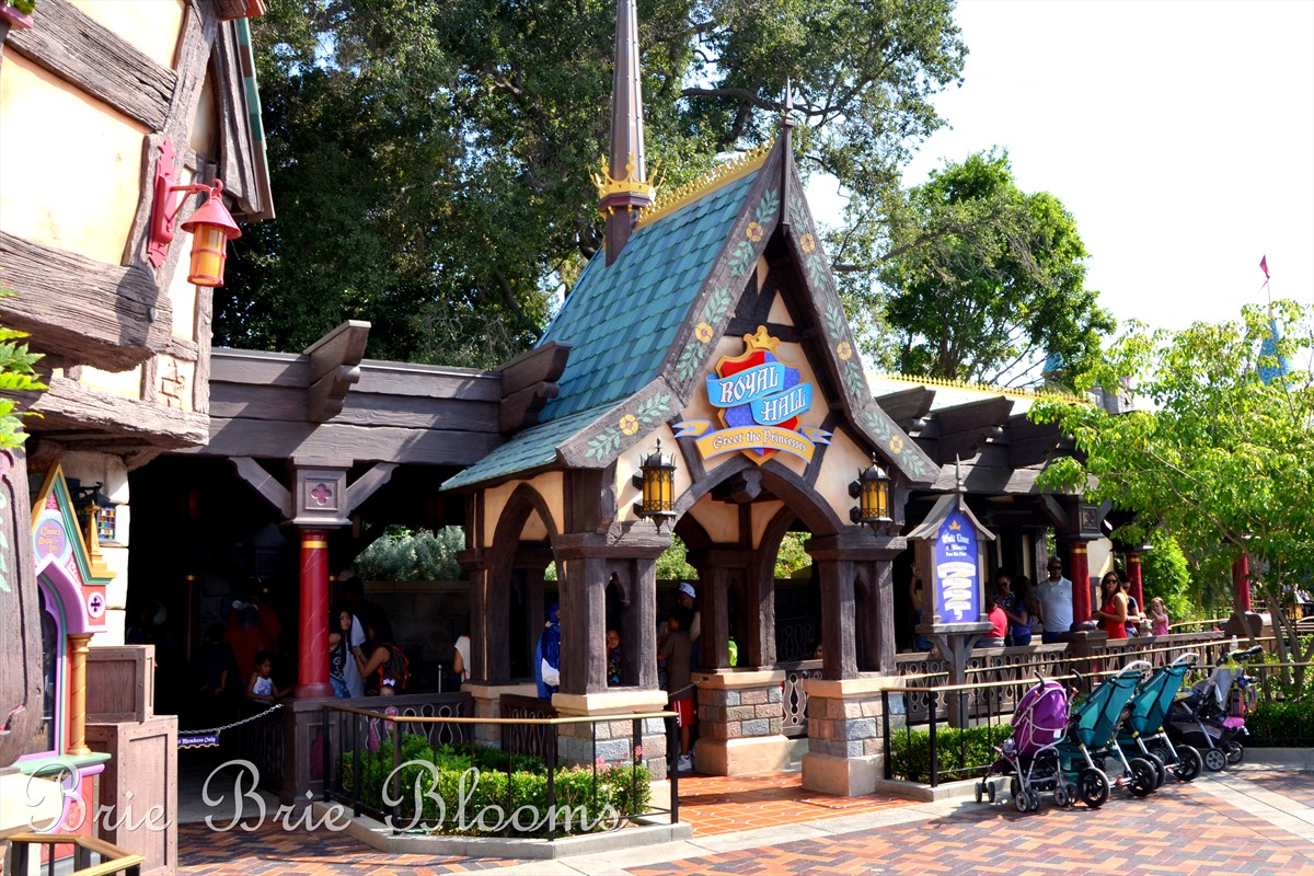 Greet the Princesses at Disneyland's Fantasy Faire (6)